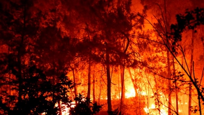 Πορτογαλία: Ανεξέλεγκτο μεγάλο μέτωπο πυρκαγιάς οδηγεί σε εκκένωση 1.400 ανθρώπων